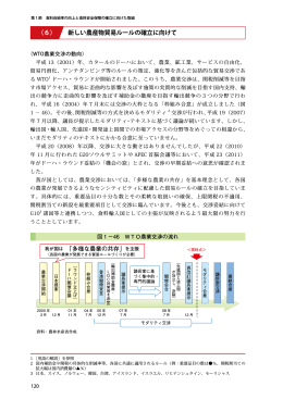 (6) 新しい農産物貿易ルールの確立に向けて（PDF：862KB）
