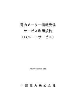 電力メーター情報発信 サービス利用規約 （Bルートサービス）