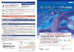 第一フロンティア生命の外貨建一時払終身保険 大 切 な あ な た の 資 産