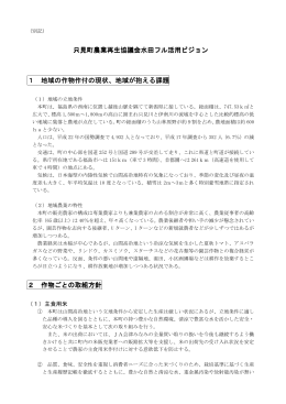 只見町農業再生協議会水田フル活用ビジョン 水田フル活用ビジョン 水田