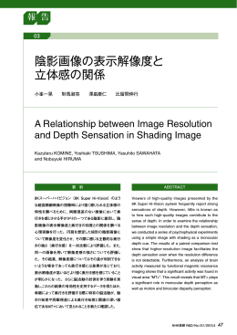 陰影画像の表示解像度と 立体感の関係