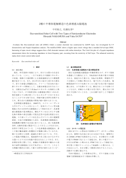 2種の半導体電極構造の色素増感太陽電池