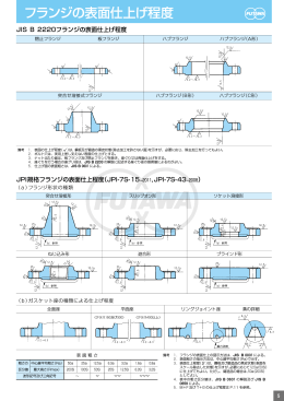 フランジの表面仕上げ程度