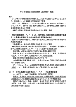 食料安全保障に関する北京宣言の概要（PDF：11KB）