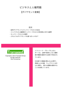 ビジネスと人権問題 【ダイヤモンド産業】