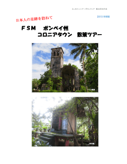 FSM ポンペイ州 コロニアタウン 散策ツアー