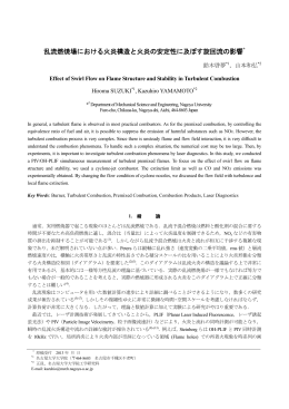 乱流燃焼場における火炎構造と火炎の安定性に及ぼす