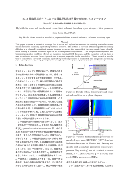 2C13 超臨界圧条件下における遷臨界乱流境界層の高精度シミュレーション