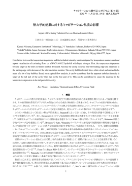 熱力学的効果に対するキャビテーション乱流の影響