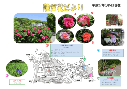 花の庭園 カキツバタ 王侯貴族のバラ園 観賞温室 カーネーションコーナー