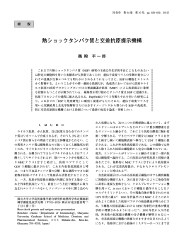 熱ショックタンパク質と交差抗原提示機構