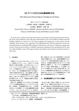 SiC デバイス（FET）の良品構造解析手法