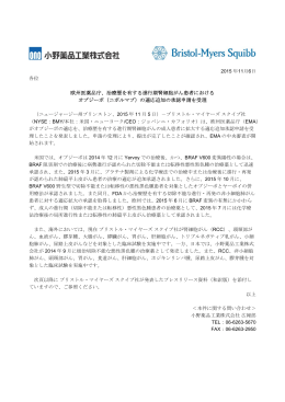 治療歴を有する進行期腎細胞がん患者における