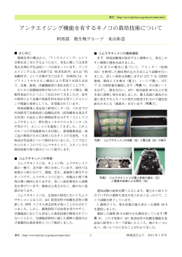 アンチエイジング機能を有するキノコの栽培技術について