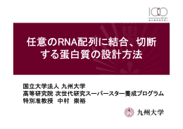 任意のRNA配列に結合、切断 する蛋白質の設計方法