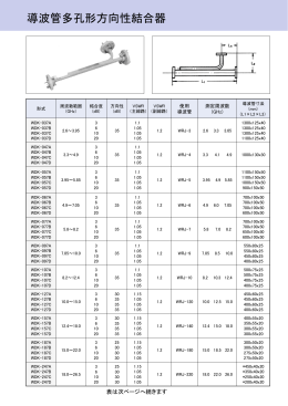 多孔型方向性結合器