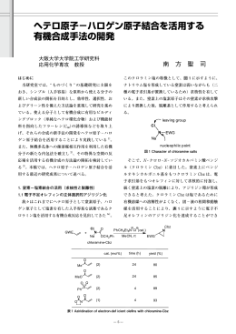ヘテロ原子－ハロゲン原子結合を活用する 有機合成手法の開発
