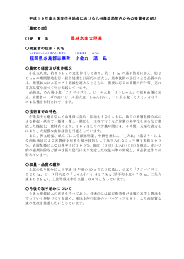 小金丸満 氏（PDF：132KB）