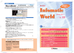 Infomatic World No.22（2011.01）