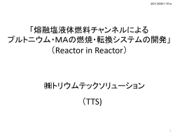 液体燃料チャンネルによるプルトニウム消滅 （Reactor in Reactor）