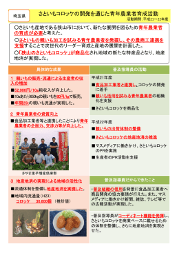 さといもコロッケの開発を通じた青年農業者育成活動（埼玉県）（PDF