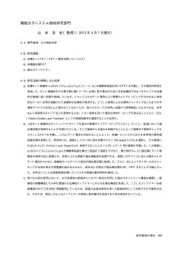 機能分子システム創成研究部門 山 本 浩 史（教授