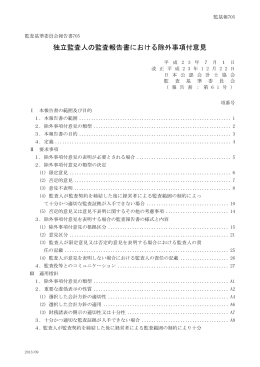 報告書（修正履歴付き）