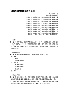 特定任期付職員給与規程 - 新エネルギー・産業技術総合開発機構