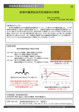 宮城県（pdf:11.9MB）