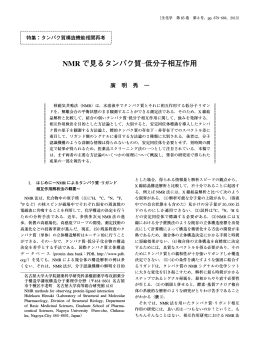 NMR で見るタンパク質 ―低分子相互作用