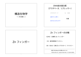 構造生物学-7 DNA認識2.key