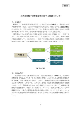 二次生成粒子の挙動解明に関する検討について