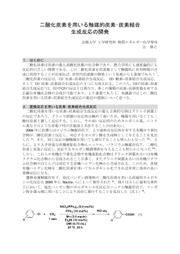 二酸化炭素を用いる触媒的炭素&ndash;炭素結合 生成反応の開発