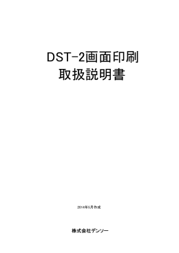 取扱説明書 DST-2画面印刷 - DST-i