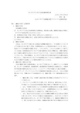 カンボジアにおける判決調査報告書 2011年3月8日 神木 篤 （元