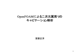 OpenFOAMによる二次元翼周りの キャビテーション解析
