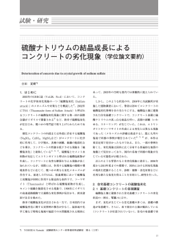 硫酸ナトリウムの結晶成長による コンクリートの劣化現象