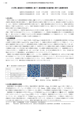 さび厚と腐食深さの相関関係に基づく腐食損傷の定量評価に関する基礎