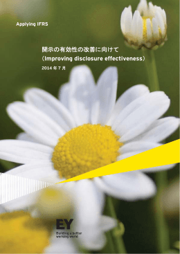 開示の有効性の改善に向けて