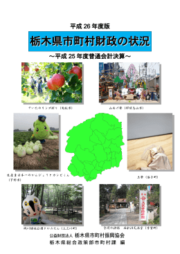 平成26年度版栃木県市町村財政の状況