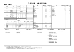 平成25年度 財政状況資料集