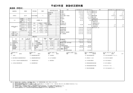 平成24年度 財政状況資料集