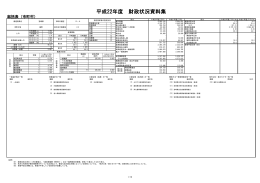 平成22年度 財政状況資料集