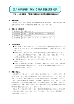 概要版 （PDF：445KB）