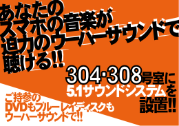 5.1サウンドシステムを 号室に