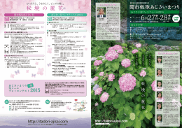 関市板取あじさいまつり 秘 境 の 麗 花