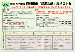 柏崎地域 新潟次郎栽培ごよみ（表）（PDF形式 321 キロバイト）