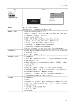 国名 アイルランド 公的年金の体系 保険料財源 税 財 源 企業・個人年金