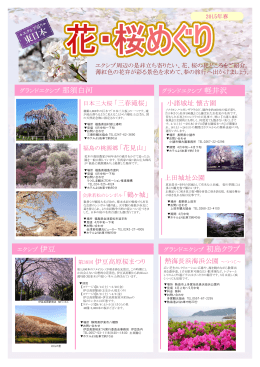 第38回 伊豆高原桜まつり 熱海長浜海浜公園 ～つつじ～ 小諸城址 懐古