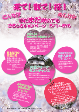 観て！ 桜！